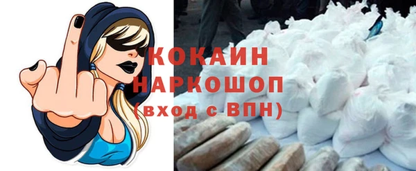 тгк Алексин