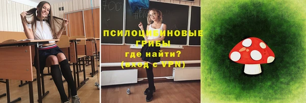 тгк Алексин